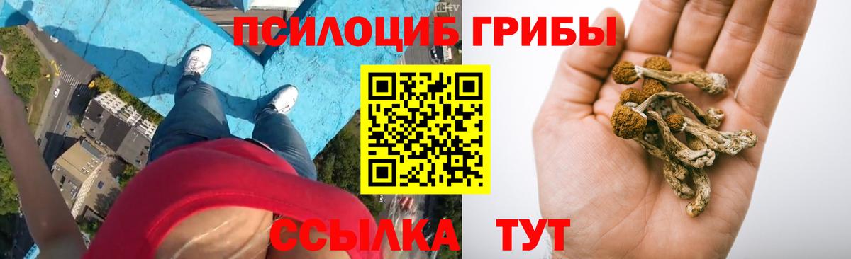Галлюциногенные грибы ЛСД  Вход с VPN  Краснознаменск 